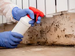 Best Mold Prevention Services  in San Elizario, TX